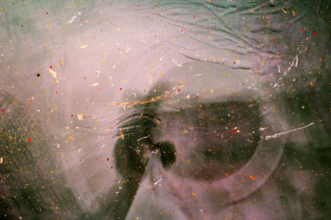 Photo lucid dreaming