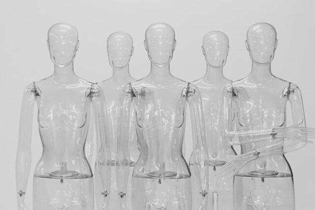 Photo transparency