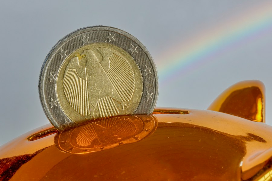 Photo economisire