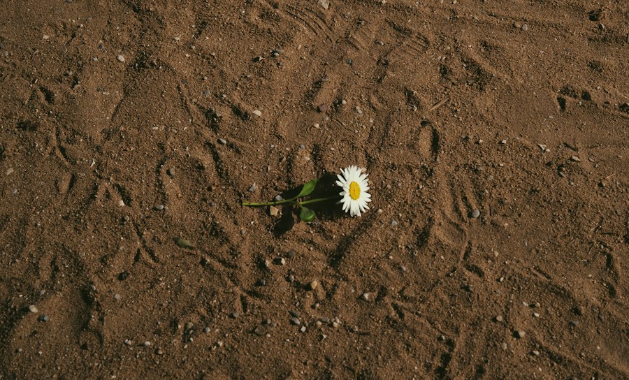 Photo resilience